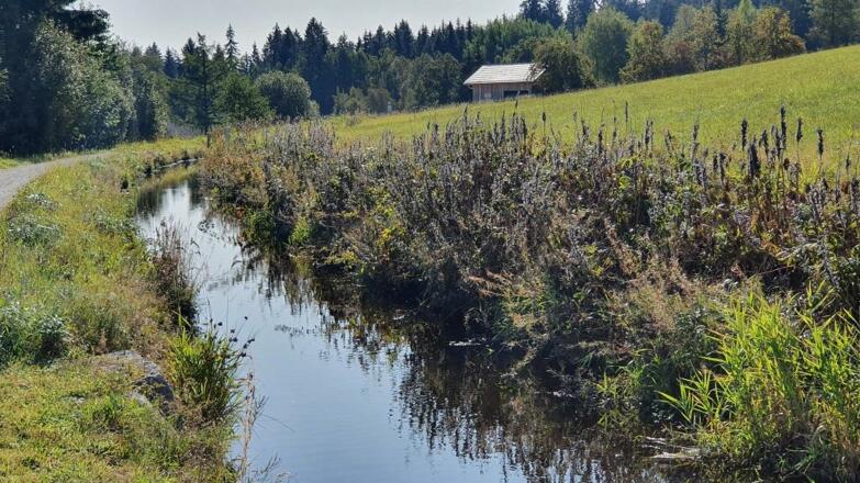 Schwemmkanal in Sonnenwald