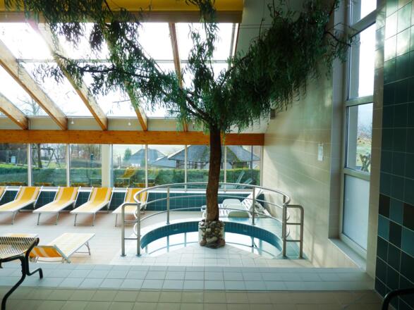 Schwimmbecken mit Startböcken