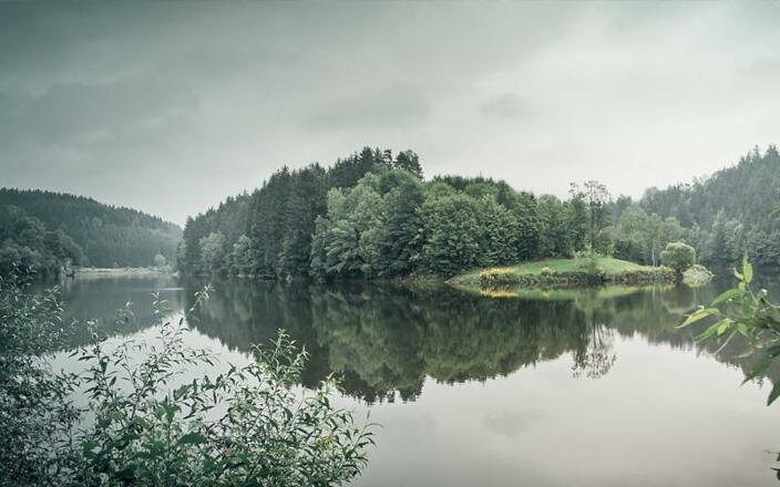 Fischen im Stausee Neufelden
