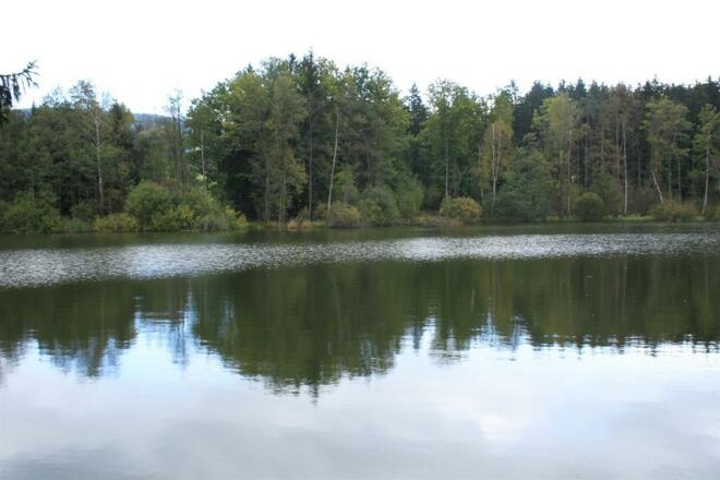 Fischgewässer Ziegelteich