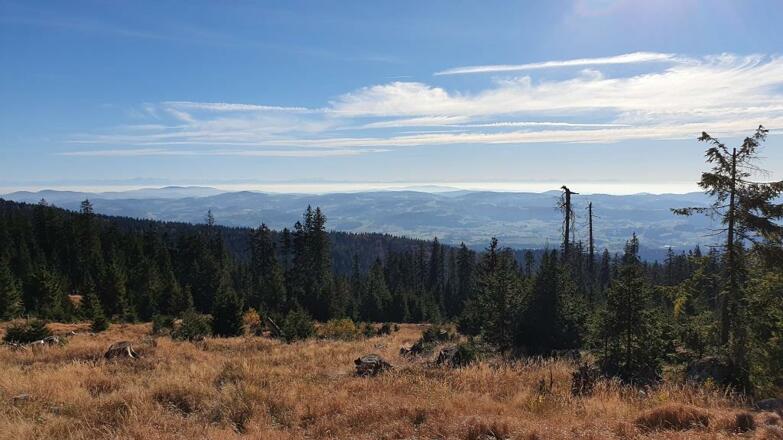 Fantastischer Weitblick