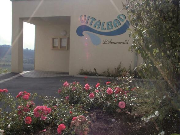 Schwimmbecken und Ruhezone