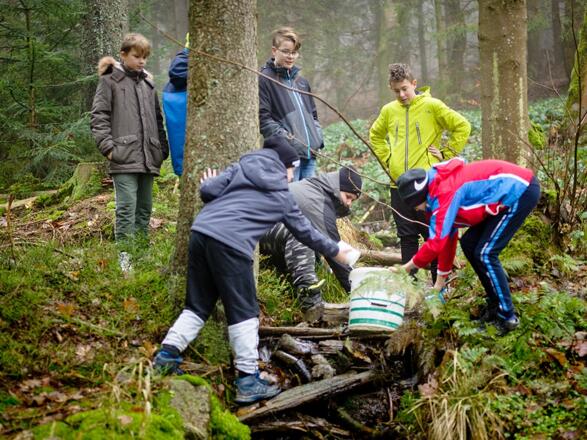 Im Natur- und Lebensraum Wald Abenteuer erleben