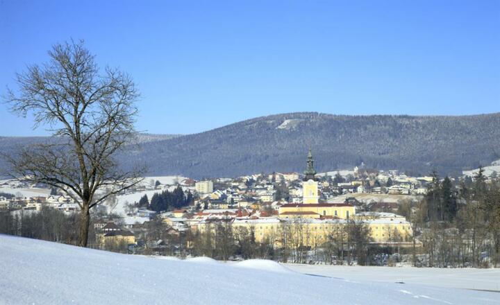 Stift im Winter