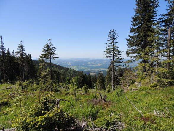 Aussicht vom Rastplatz