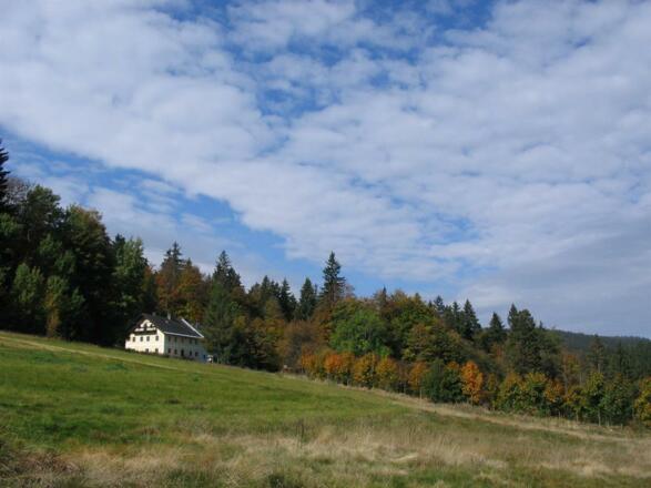 Waldschule