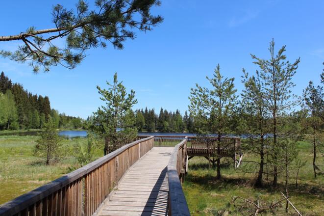 Bayrische Au - Aussicht auf die Plattform