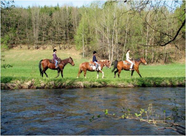 Kern Reiten an der Mühl