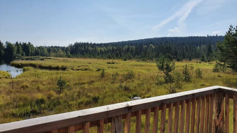 Bayrische Au auf der Plattform