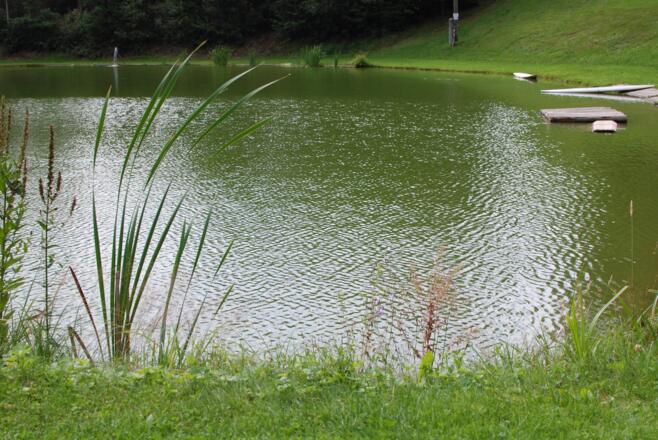 Freizeitteich