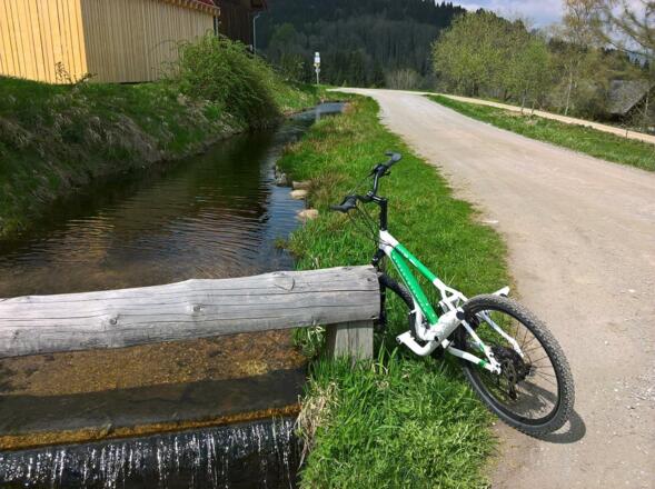 Streetstepper am Schwemmkanal