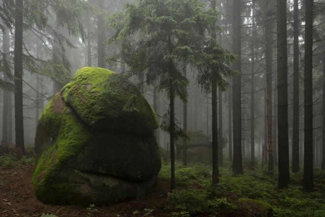 Uralte Granit- und Waldwelt