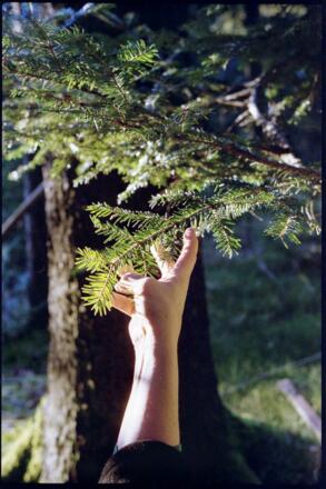 Spüren und mit allen Sinnen da sein