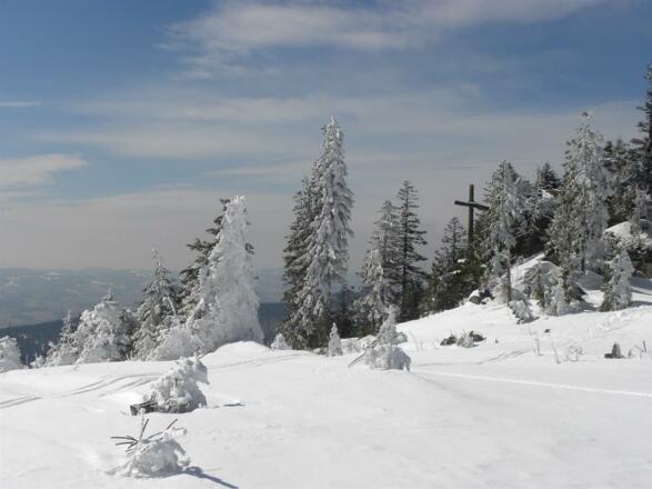 Schönbergfelsen im Winter