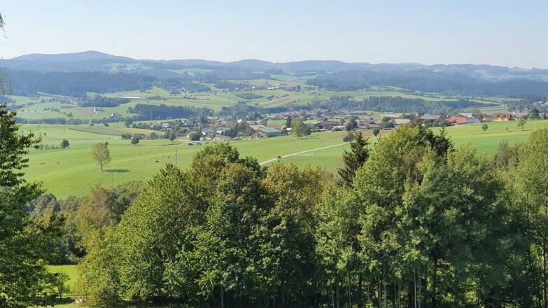 Blick nach Ulrichsberg beim Hauseingang
