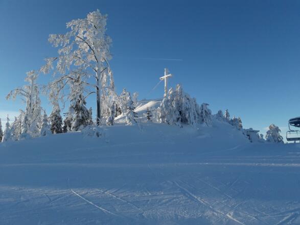Landschaft im Winter/2