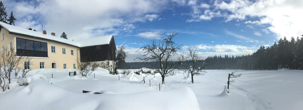 Zugang im Winter zum Haus