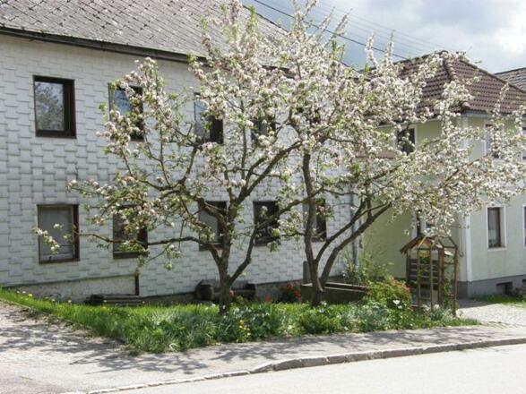 Wellnessraum Kräuterbad