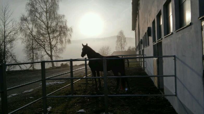 Herbststimmung beim Stall