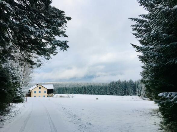 D'Oaschicht im Sommer