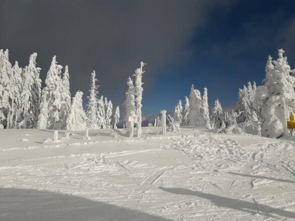 Landschaft im Winter/3