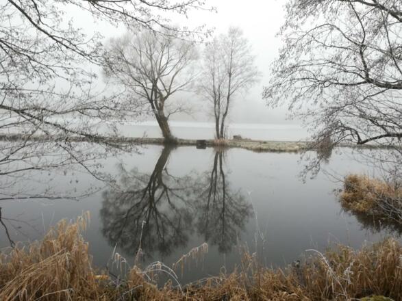 Urlsee - Fischteiche