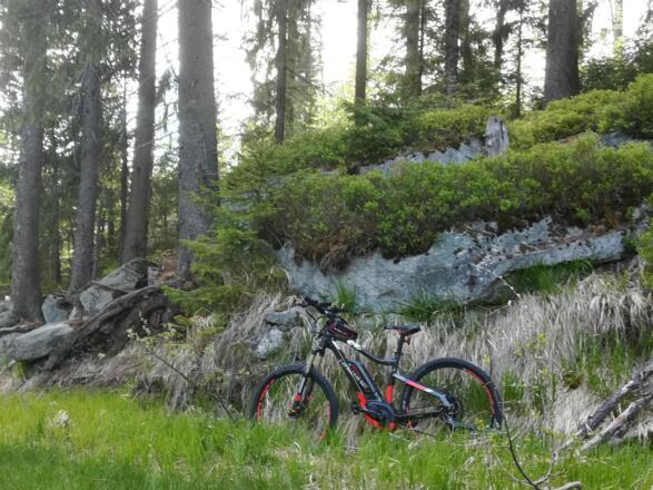 Rad und Wandergebiet im Böhmerwald