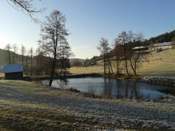 Landschaft mit Teich