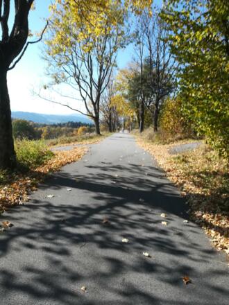 Radweg Tschechien