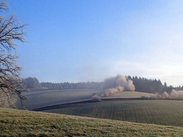 Landschaft mit Frost
