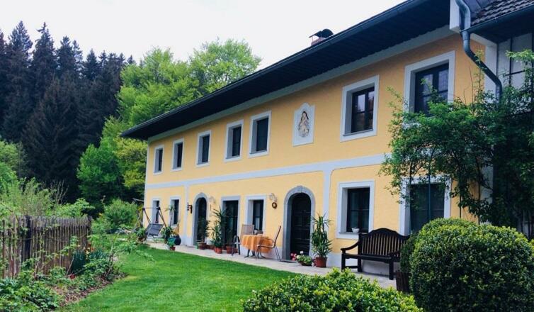 Baumblüte im Frühling