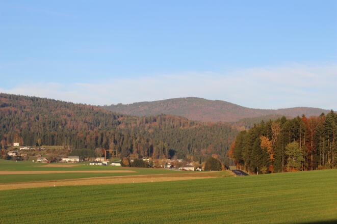 Blick zum Hochficht