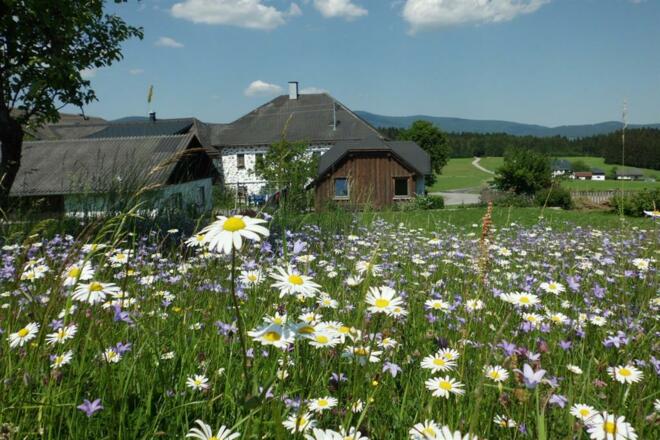 Bauernhof im Steinbloß-Stil