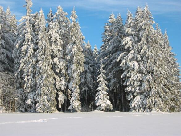 Winterlandschaft