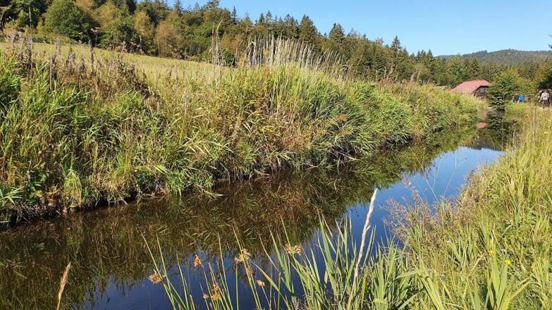 Schwarzengergischer Schwemmkanal in Sonnenwald