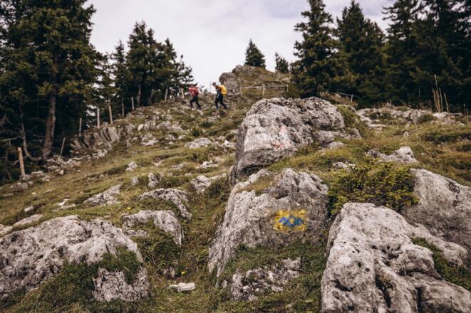 Immer entlang den gelb-blauen Markierungen - SalzAlpenTour Chiemsee-Alpenland