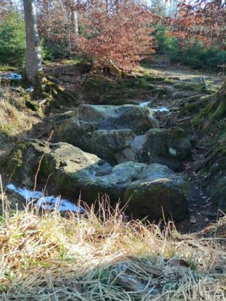 Opfersteine zwischen Grafrath und Schöngeising