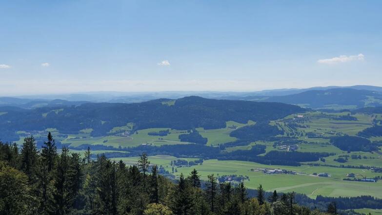 Ausblick bis in die Alpen