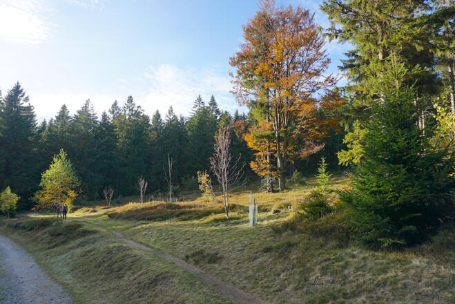 Wacholderheide Predigtstuhl-Westhang