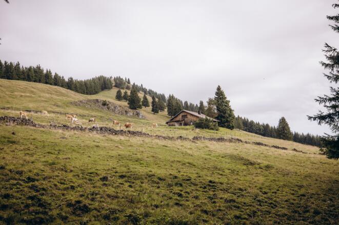 Almidylle auf Etappe 2 SalzAlpenTour Chiemsee-Alpenland