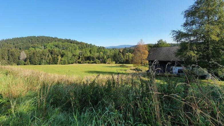 Sonnenwald