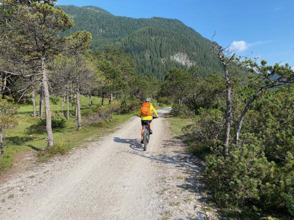 Die Fahrt von Scharnitz nach Mittenwald führt entlang der Isar durch eine subalpine Landschaft.