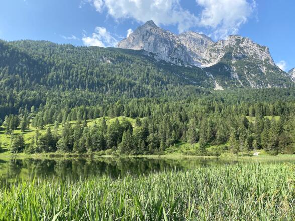 ... und schon bald danach den idyllischen Ferchensee