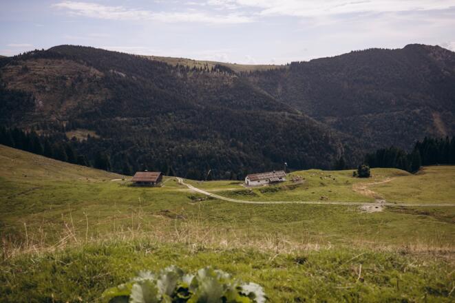 Bergab Richtung Almen