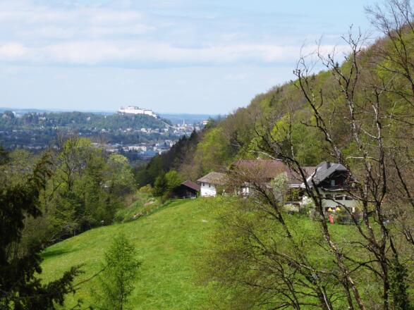 Blick auf die Festung Hohensalzburg. Rechts der Archstein Hof, an dem der alte Weg nach St. Jakob vorbeiführte.