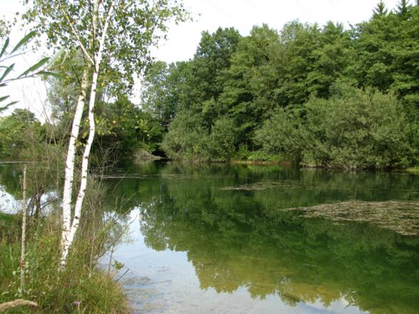Kleiner Böhmerweiher