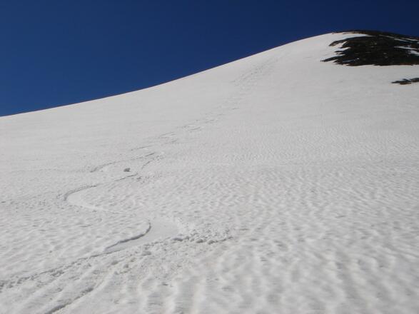 Abfahrt Gr. Bärenkopf Nordostflanke