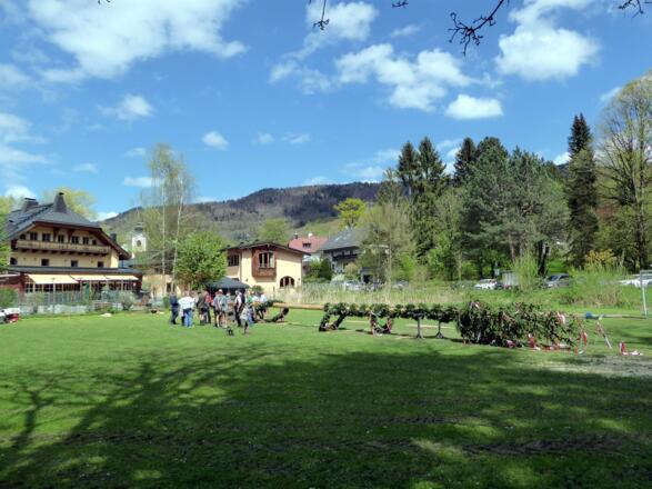 Maibaumaufstellen in St. Jakob. Das Brauchtum spielt, vor allem dank der Jakobischützen, eine große Rolle.