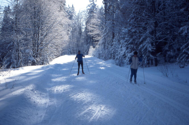 Langlaufen in der Ferienregion Böhmerwald