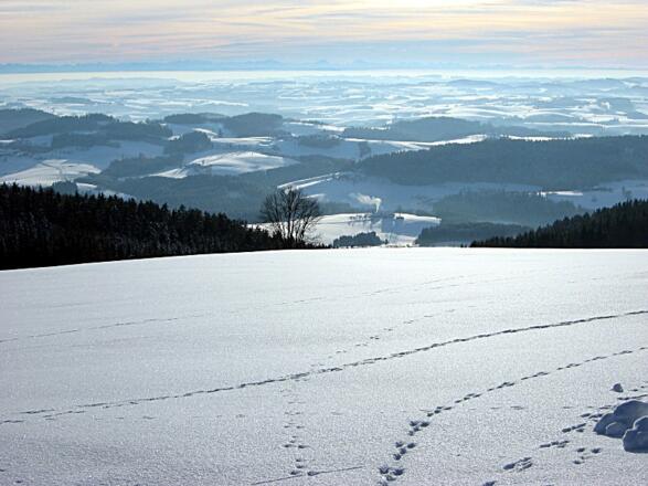 Winterwandern in Schwarzenberg